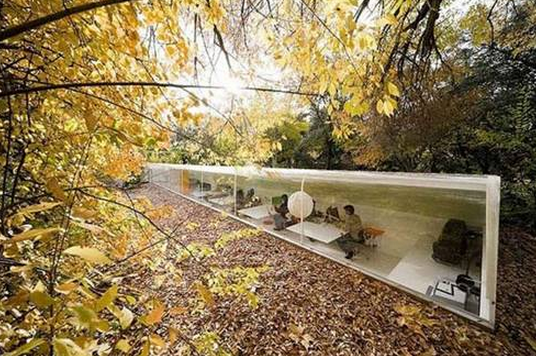 İşyerini ormana taşıdı - Resim: 1