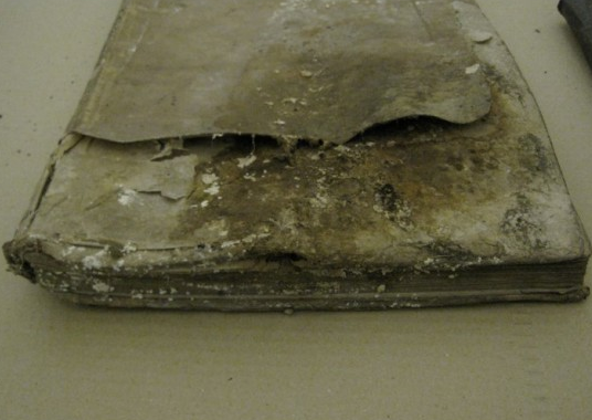 Topkapı Sarayı'ndaki el yazmaları çürüyor  - Resim: 2