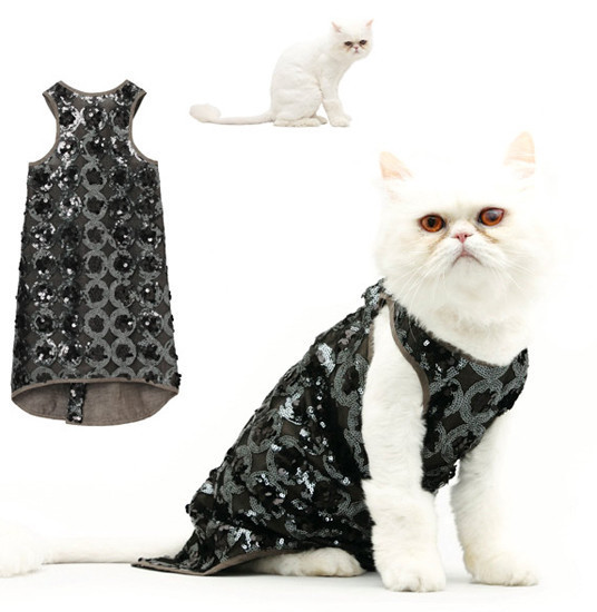 Onların da bir modası var! - Resim: 2