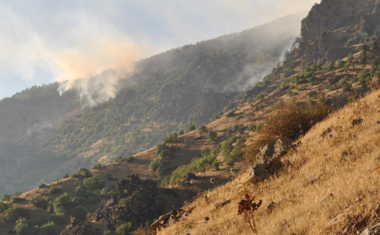 Operasyon bölgesinden dumanlar yükseliyor - Resim: 4