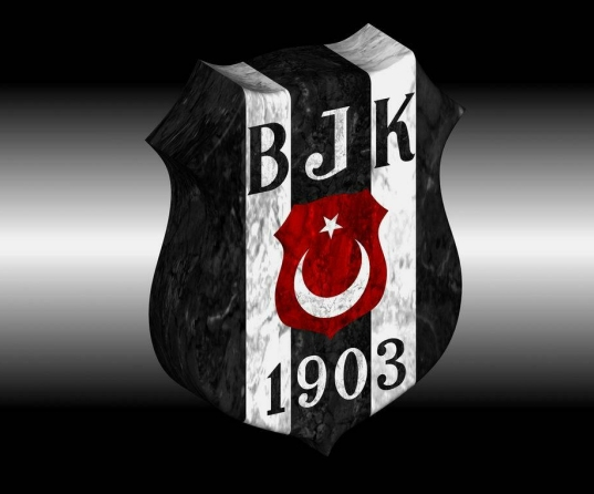 İlk 100'e giren tek Türk katımı - Resim: 3