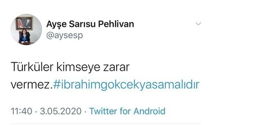 HSK’dan İbrahim Gökçek paylaşımı yapan Ayşe Sarısu Pehlivan için flaş karar - Resim: 0