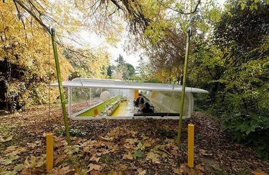 İşyerini ormana taşıdı - Resim: 2