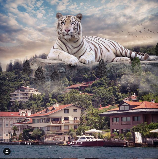 Hiç böyle kareler görmediniz! İstanbul'un en fantastik anları - Resim: 4