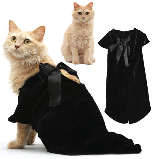 Onların da bir modası var! - Resim: 3