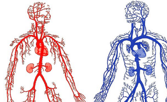 İnsan uykusuzluktan ölür mü? - Resim: 3