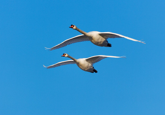Cehennem azabından koruyan dualar - Resim: 4