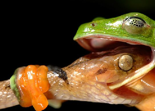 Tam o anda çekilen fotoğraflar - Resim: 2