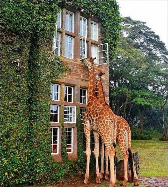 Günün içinizi ısıtacak fotoğrafları - Resim: 3