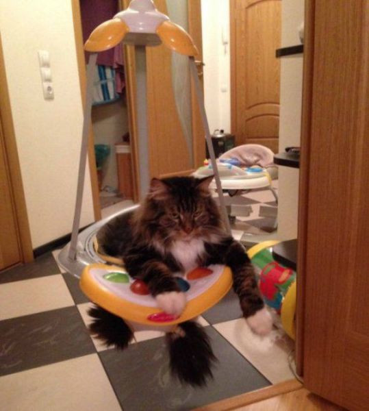 Bu fotoğraflar çok garip - Resim: 3