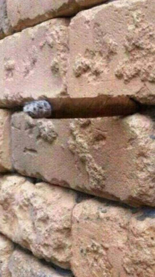 İnternet alemini ikiye bölen fotoğraf - Resim: 3