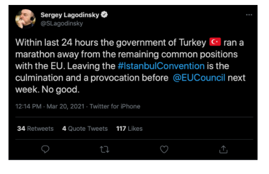 Uyanınca perişan oldum! Avrupa Birliği'nden gelen İstanbul Sözleşmesi yorumları olay - Resim: 2