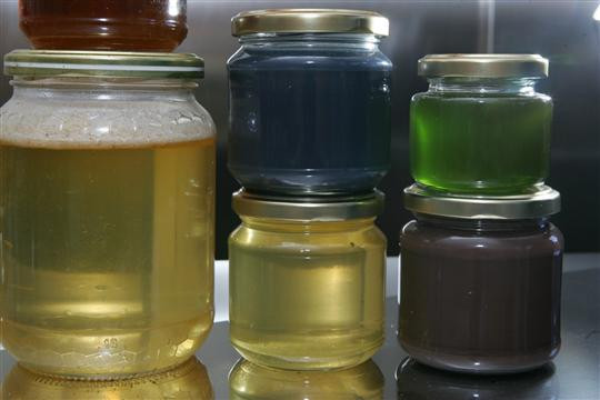 Arılar mavi ve yeşil bal yaptı - Resim: 1