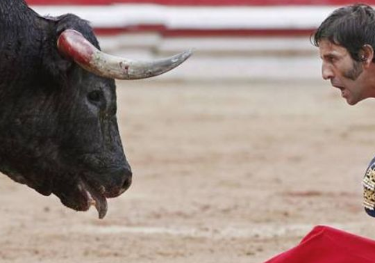 Matadorun gözü arenada kaldı - Resim: 3