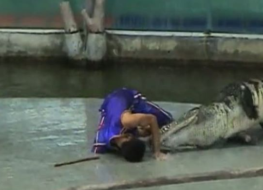 Timsah bakıcının elini böyle kaptı - Resim: 4