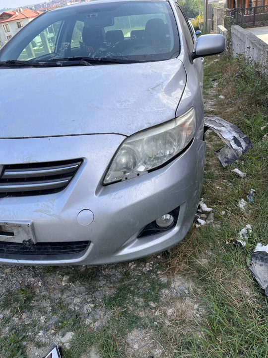 Sakarya'da sokak köpekleri park halindeki otomobili parçaladı! - Resim: 0