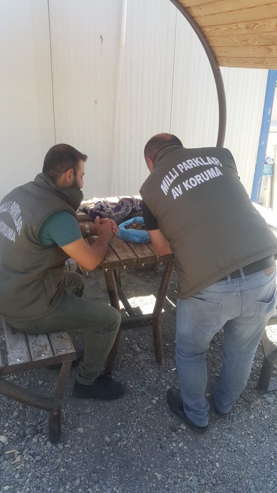 Van Gölü kıyısında salep soğanı topluyordu! 60 bin TL ceza yedi - Resim: 0