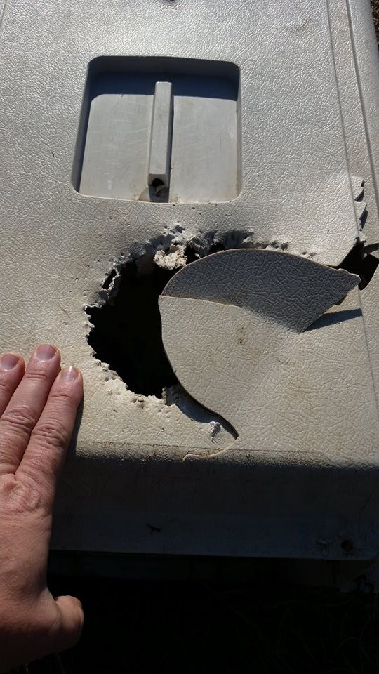 Dağ başına buldukları kutu hayatlarını değiştirdi - Resim: 2