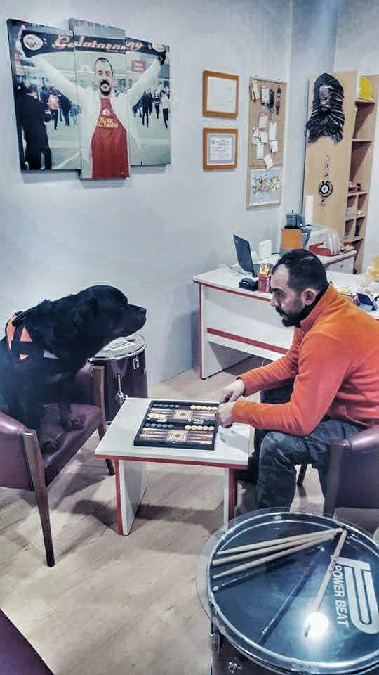 Dostu Pascal için seferber olmuştu hayatını kaybetti - Resim: 4