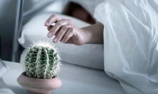 Bunları yapmadım diyemezsiniz! - Resim: 4