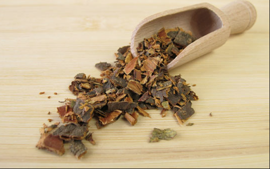 İç kısmı zehirli olan barut ağacının kabukları her derde deva! - Resim: 1