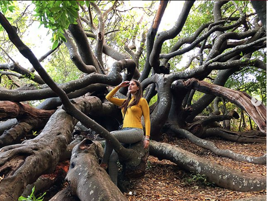 Fahriye Evcen 'annelerin hayatı' notunu düştü ev halini paylaştı! Takipçileri şaşırdı - Resim: 3