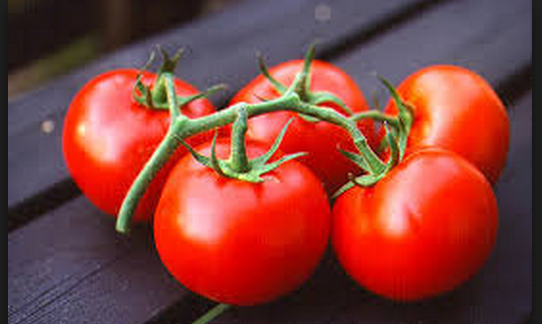 Sonbaharın gelmiş olduğunu hatırlatan doğa olayları - Resim: 2