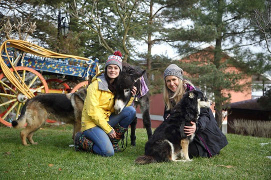 Özge Özpirinçci 2 kediden sonra eşek sahiplendi - Resim: 3