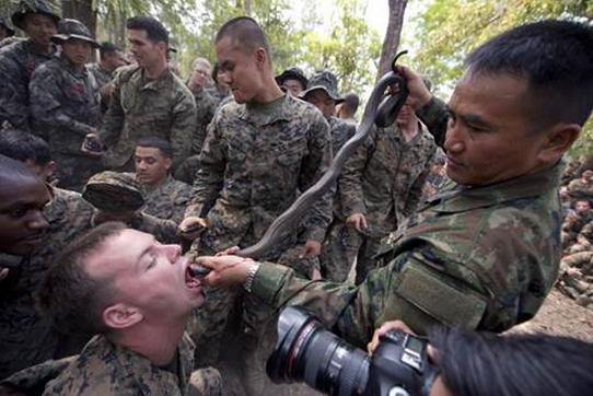 Eğitim diye canlı canlı böcek yediler - Resim: 4