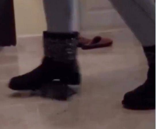 Yok böyle canilik! Kaplumbağayı defalarca ayağıyla ezdi, "Kanıyor, kanattım" deyip güldü - Resim: 4