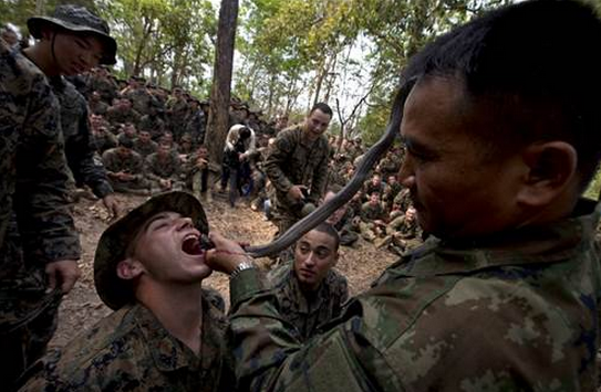 Eğitim diye canlı canlı böcek yediler - Resim: 2
