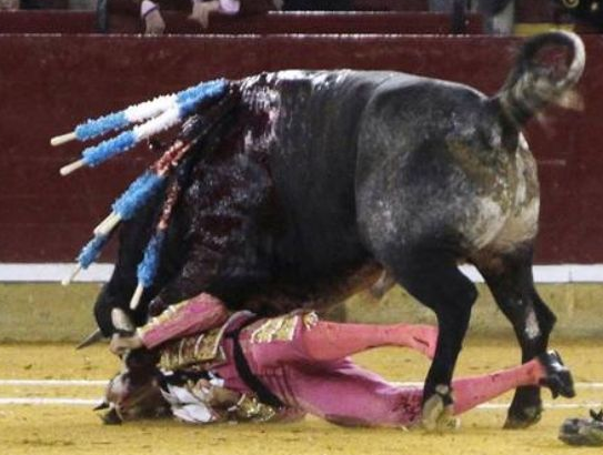 Matadorun gözü arenada kaldı - Resim: 2
