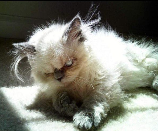 İşte haftanın en bomba kareleri - Resim: 2