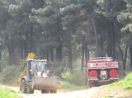 Aydos Ormanları'nda korkutan yangın! - Resim: 2