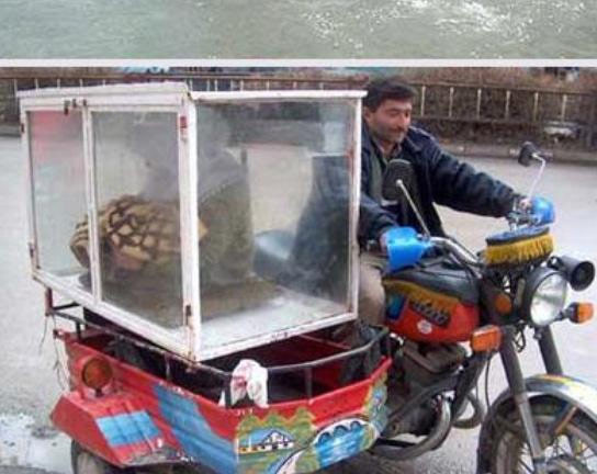 Yurdum insanı yine güldürdü - Resim: 3