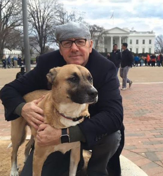 Oscarlı aktörden cinsel taciz iddialarına videolu cevap - Resim: 4