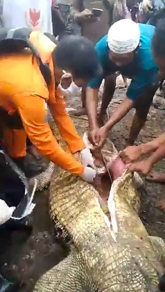 Öldürülen dev timsahın midesinden kadın parçaları çıkarıldı - Resim: 4