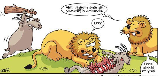 Günün en bomba karikatürleri - Resim: 4