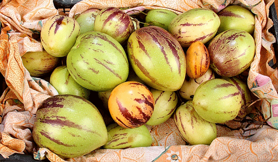 Pepino meyvesi nedir faydaları nelerdir? - Resim: 3