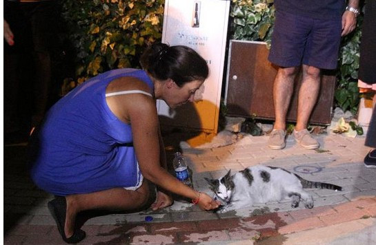 Etiler'de gece yarısı korku dolu anlar herkes kendini sokağa attı - Resim: 3