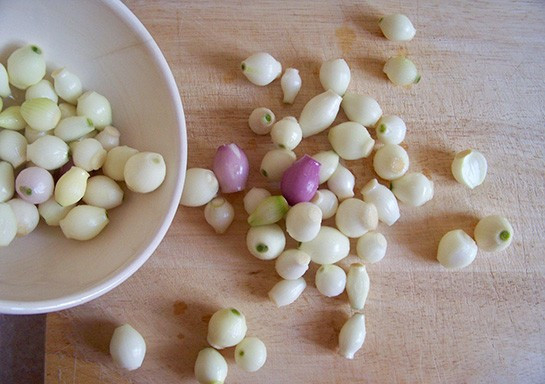 Kendisi küçük faydası büyük! - Resim: 2