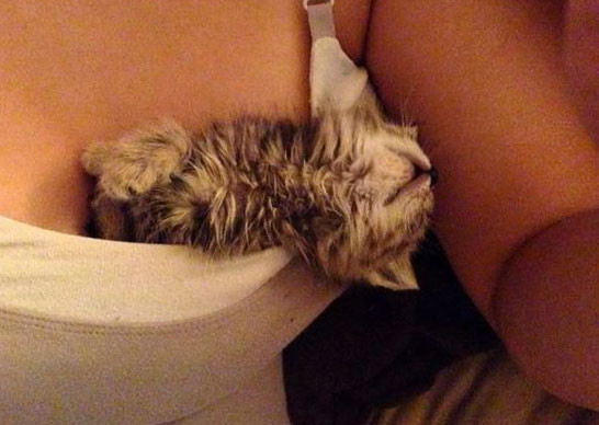 Gülümsetecek kareler - Resim: 3