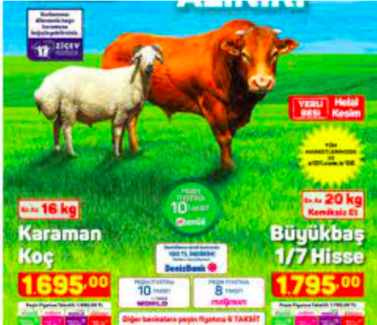 A101 kurbanlık hisse fiyatları 2021 koç kaç para küçükbaş fiyatları - Resim: 0