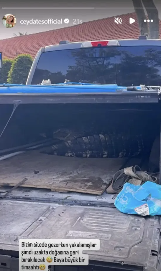 Ceyda Ateş büyük şok yaşadı! Yaşadığı sitede timsah görüldü - Resim: 0