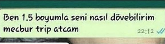 Bana şortlu fotoğrafını gönder dedi sonra öyle bir cevap aldı ki... - Resim: 2