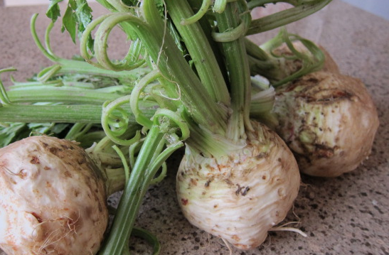 Kerevizin bu faydalarını daha önce duymadınız - Resim: 2