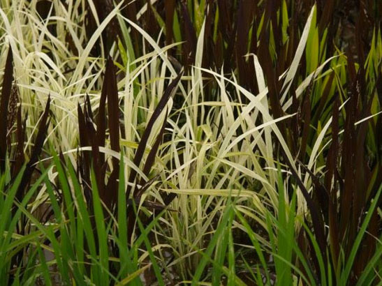 Bu sanat tablo üzerinde değil - Resim: 3