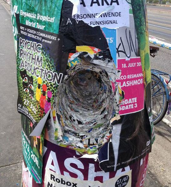 Günün en ilginç fotoğraf kareleri - Resim: 3