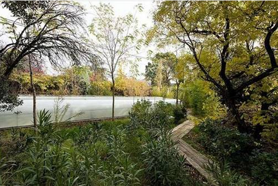 İşyerini ormana taşıdı - Resim: 4