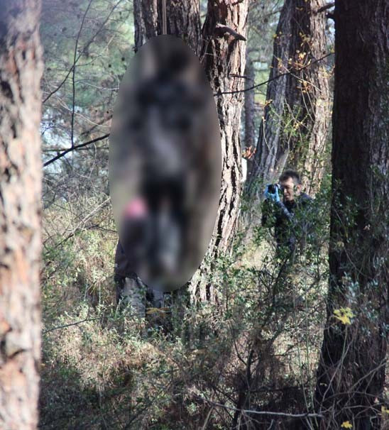 Ülkücüleri şoka sokan an! Ormanda böyle bulundu - Resim: 3